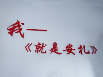 Anshan Anza Electronic Power Co., Ltd