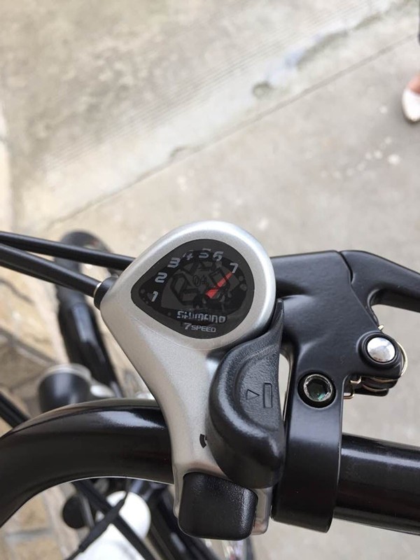 700C 28 Inch Classic City Electric Bike Dutch Lady Style 36V 250W Hub Motor Bicycle