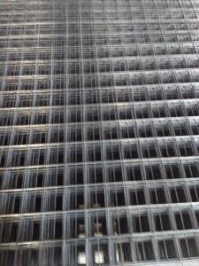 China Best Selling!Galvanized Welded wire mesh(ISO9001) wholesale