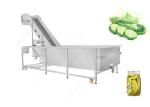 Industrial Cucumber Washer Cucumber Washing Processing Machine For Pickled
