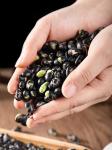 Out Of Direct Sunlight Fava Bean Snack with Pizze Flavor Nut Snacks