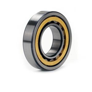 China NU1020 Miniature Cylindrical Roller Bearings Nu Nj Nup For Machinery Equipment wholesale