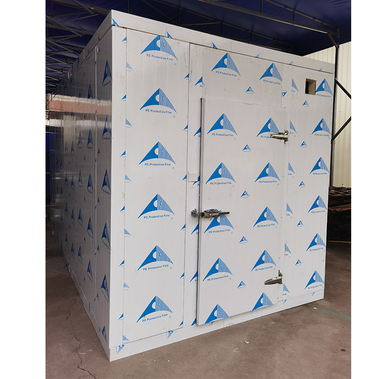 Sus304 Panel Small Walk In Cooler Freezer For Fruit And Vegetable