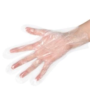 China Disposable Plastic Polyethylene Gloves Sterile For Cooking , Hair Dyeing wholesale