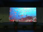 P6 Full Color Indoor Advertising LED Display For Shopping Mall Advertising