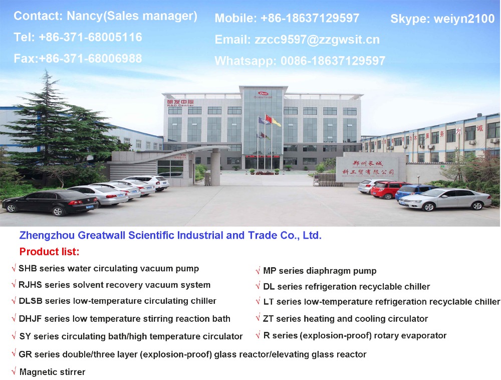 Zhengzhou Greatwall -10C 10L Recirculating Chiller DL10-1000G with High Pressure Pump