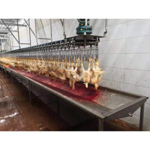 China Automatic Small Poultry Abattoir Equipment Stainless Steel Chicken Mobile Machinery wholesale