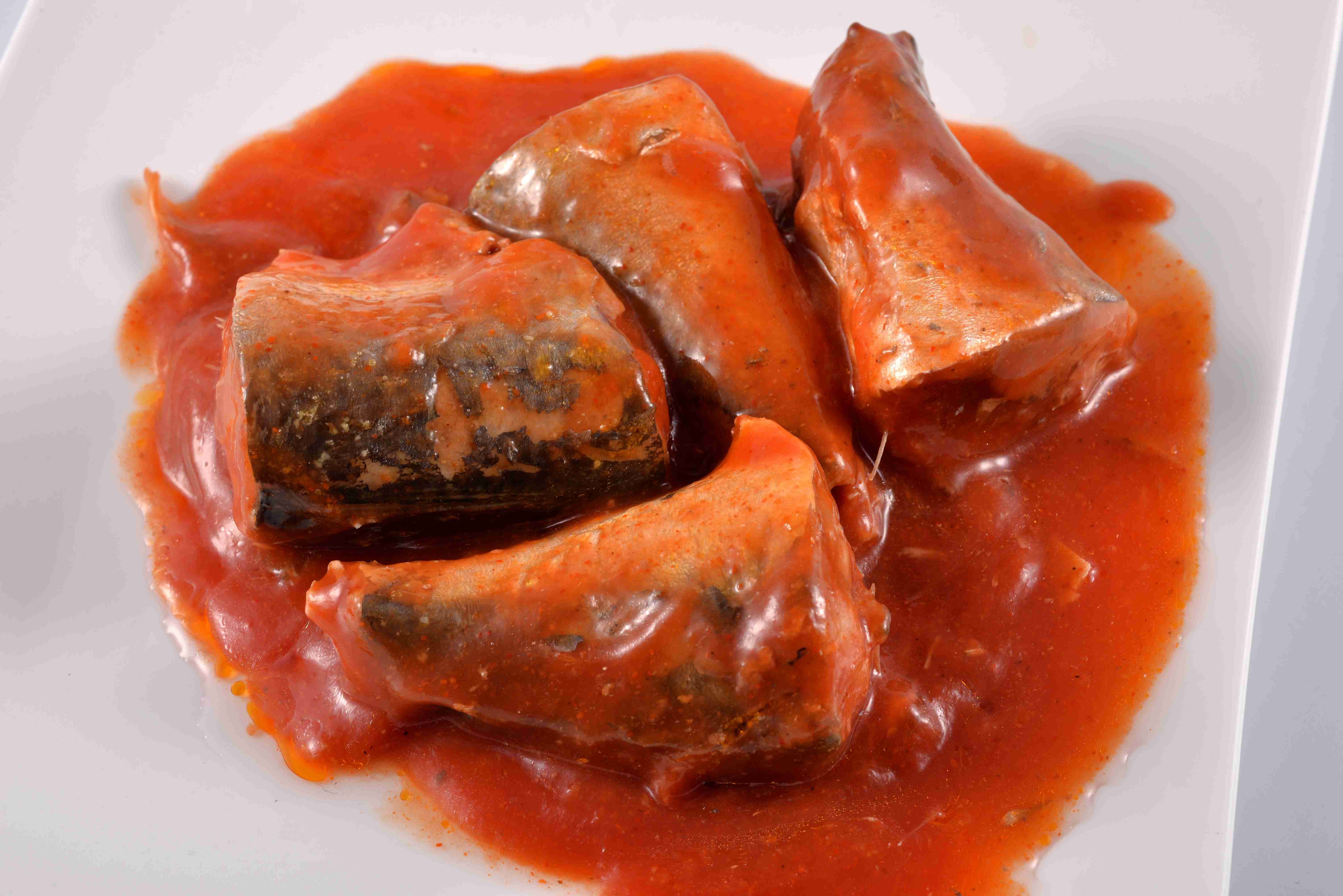 Private Label Atlantic Mackerel Canned Fish In Tomato Sauce Without Chili Pepper