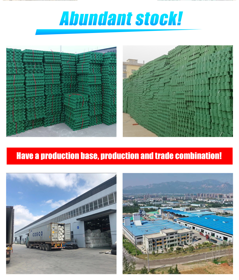 HDPE Grass Paver Grid for Parking Lot and Driveway Onsite Inspection After-sale Service