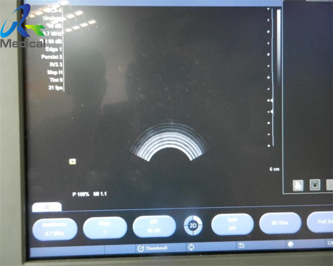 Siemens EC9-4 Compatible Ultrasound Transducer Endocavity Probe X300 System In Hospital