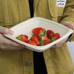 China Eco Biodegradable Sugarcane Disposable Bowls 16oz Square Bowl With Lid wholesale