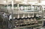 Automatic Crown Cap Beverage Filling Machine Juice Bottling Equipment