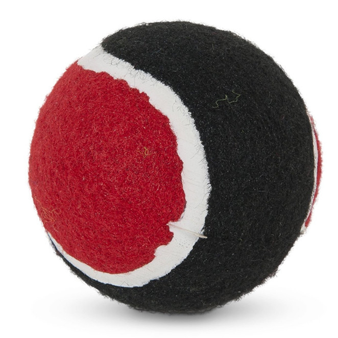 9-Pack Dog Tennis Ball