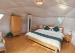 Clear Span Lightweight Geodesic Tent Fire Retardant Commercial Dome Tents