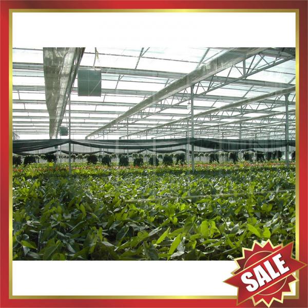 Quality PC sheet,PC sun sheet for greenhouse,conservatory for sale