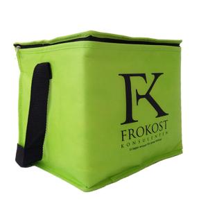 China Non Woven 80gsm 120x2.5cm 2mm EPE Insulated Cooler Bag wholesale