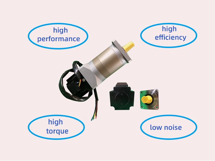 High Speed Brushless Dc Gear Motor 12v 24v Electric Custom For Automatic Product