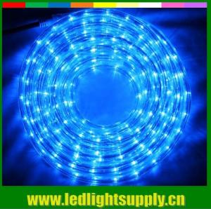 China christmas party led strip light 2 wire led rope lights for decoration wholesale