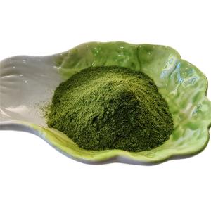 China Natural Plant Growth Regulators Seaweed Polysaccharides 40% Seaweed Extract Green Powder wholesale