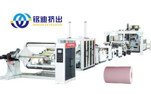 China 0.15-1.2mm Plastic PETG PET Sheet Extruder Machine for Furniture Decorative Film wholesale