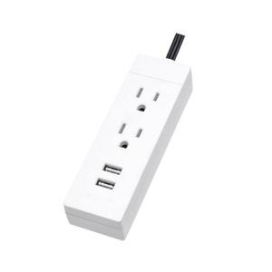 China 2 outlet In/outdoor Extension Cord With 2 USB Surger Protector wholesale
