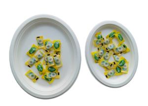China 10 / 12 Inch Oval Restaurant Nature Bagasse Paper Plates wholesale
