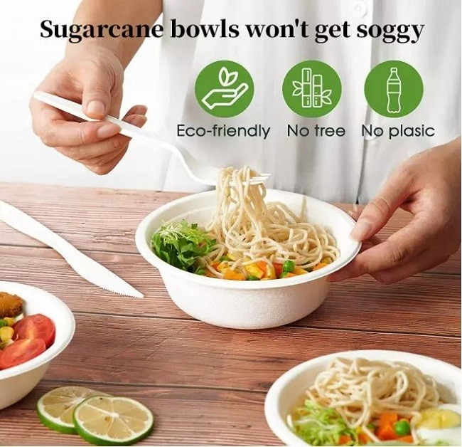 204MM Disposable Compostable Bagasse Eco Products Sugarcane Plates And Bowls