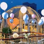 ROSH Certificate Garden Bubble Tent Aluminium Frame Bubble Igloo Tent