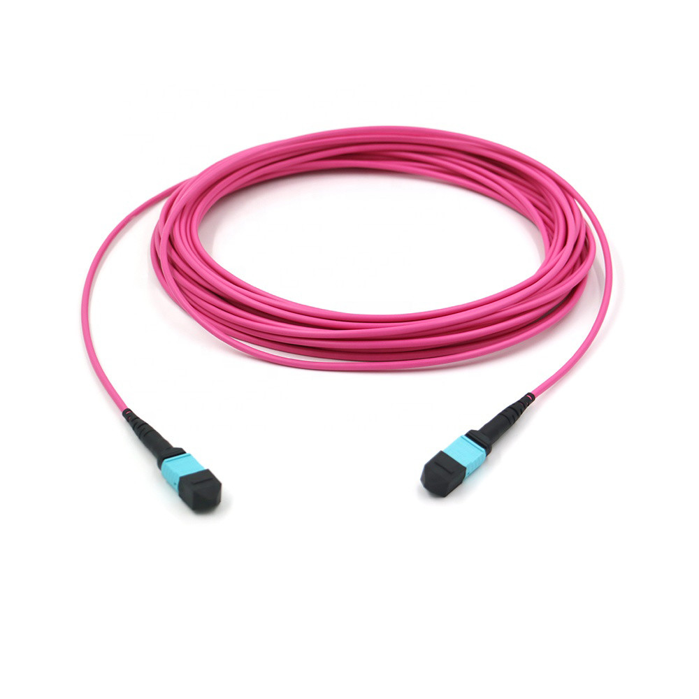 Elite Multimode OM4 50/125, Plenum OFNP Type B MPO patch cord 3m 10ft MTP-12 PC Female to MTP-12 PC Female