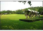 Durable Landscaping Natural Looking Artificial Grass , Landscaping Artificial
