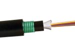 Distribution Armoured Fiber Optic Cable For Indoor Outdoor Cabling And