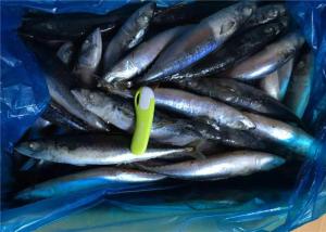 China 90% Net Weight Scomber Japonicus 110g Fresh Frozen Mackerel wholesale