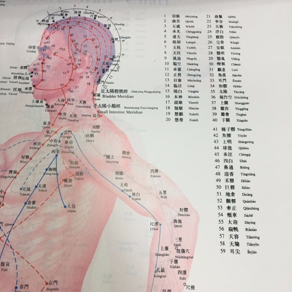 English Acupuncture Wall Chart 7PCS Per Set Human Acupuncture Chart
