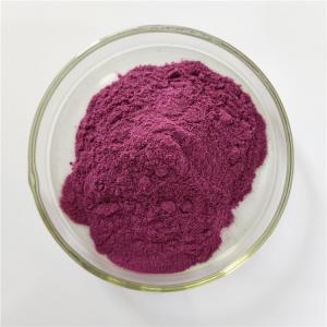 China buy Hot Sale energy supplement chokeberry extract wholesale