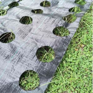China Premium Weed Barrier Landscape Fabric Ground Cover Heavy Duty Commercial Anti-Weed Gardening Mat 3ft x 33ft Green wholesale