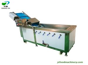 China industrial automatic fruits and vegetables washing machine for high pressure air bubble with water circle device wholesale