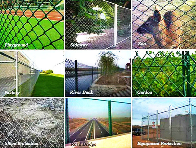 50*50mm Metal Chain Link Fencing