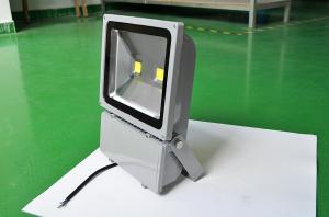 China Wholesales 100W high brightness epistar led floodlight wholesale