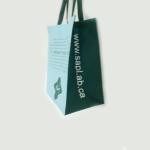 Cheap and high quality Non woven Shopping Bag