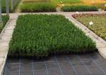 Weed killer Agriculture Non Woven Fabric Plant / Ground Cover Breathable Anti
