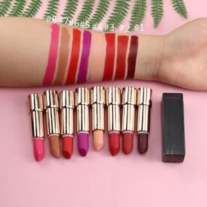 China Customized Dating Vegan Tube Waterproof Lip Stick wholesale