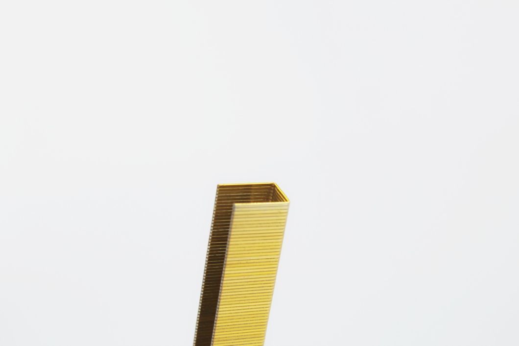 Top-Rated 14 Series Galvanized Industrial Wire Staples 20 Gauge with High Quality 1412