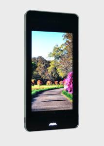 China 43 Inch Outdoor LCD Digital Signage Waterproof 1920 x 1080 Max. Resolution wholesale