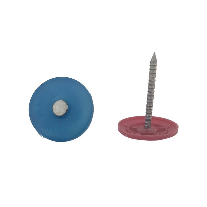Hot Electro Galvanized Plastic Cap Nails Heat Preservation Construction Fixings