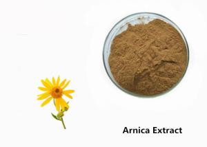China Arnica Plant Extract Powder wholesale