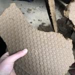 Paper Mill Water Treatment Cationic Polyacrylamide PAM Flocculant