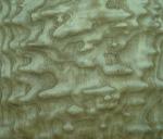 Sliced Natural Tamo Ash Burl Wood Veneer Sheet