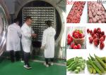 100KG/Batch Pharmaceutical Freeze Dryer Large Vacuum Freeze Drying Equipment
