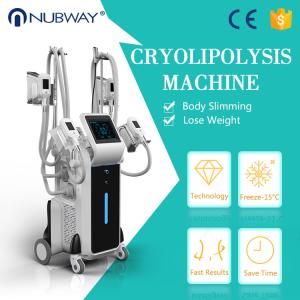 China cryolipolysis machine 4 handles criolipolisis / criolipolise slimming fat freezing wholesale