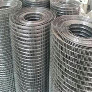China Customizable Galvanized Welded Wire Mesh For Enclosure Farming wholesale